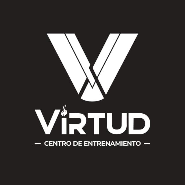 VIRTUD Logo